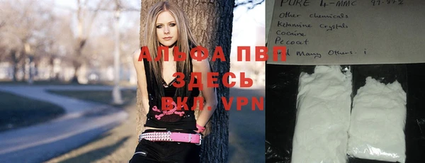 стафф Бородино
