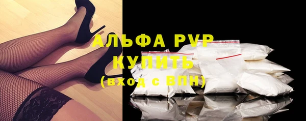 стафф Бородино