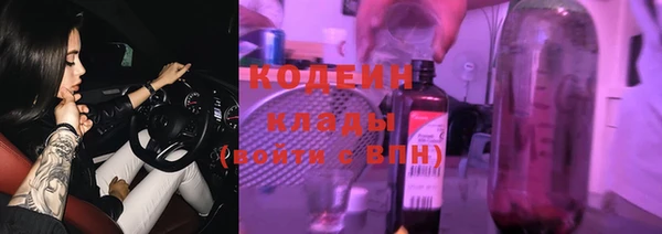 стафф Бородино