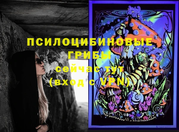 стафф Бородино