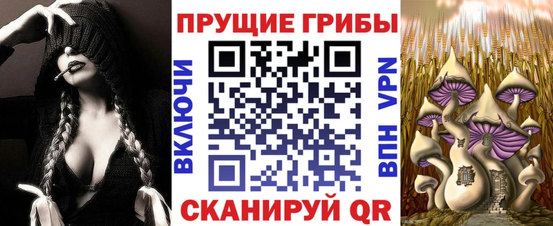 Псилоцибиновые грибы Psilocybine cubensis купить сайты Малаховка